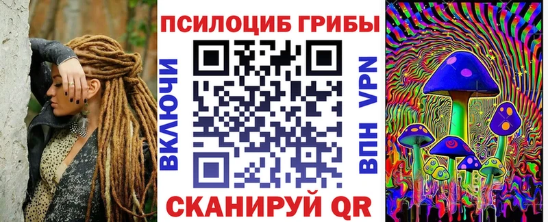 Галлюциногенные грибы Psilocybe  Купить где  Борисоглебск 